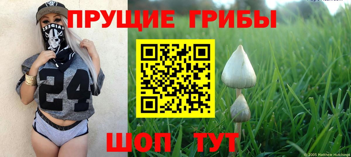 Псилоцибиновые грибы GOLDEN TEACHER  Вход с VPN  Нарткала 