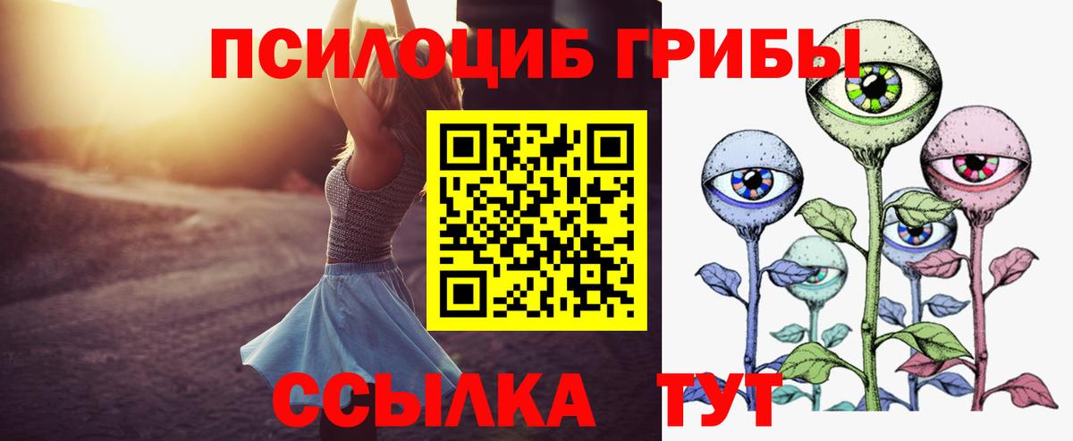 Галлюциногенные грибы Psilocybine cubensis Нарткала